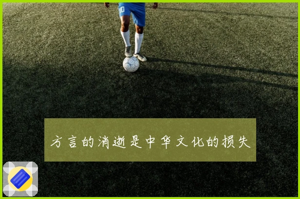 方言的消逝是中华文化的损失